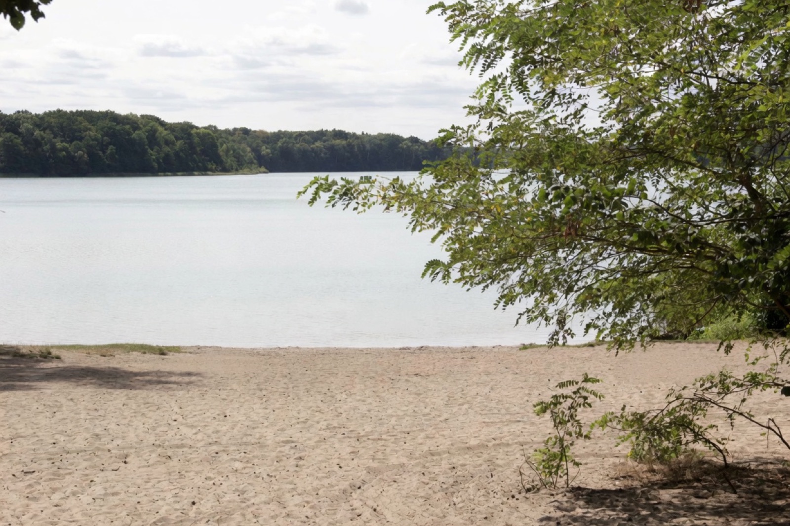 Seen&auml;he &mdash; Sandstrand und Naturufer